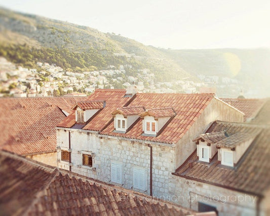 a bird's eye view of rooftops and buildings