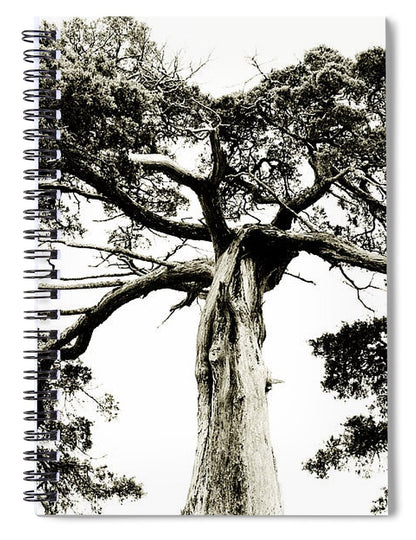 Crooked Tree - Spiral Notebook