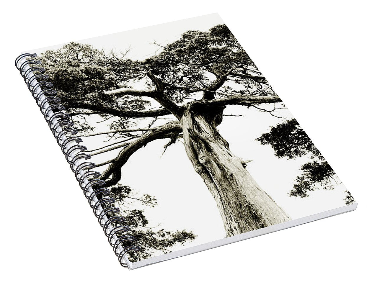 Crooked Tree - Spiral Notebook