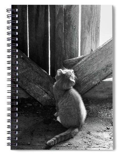 Curious Kitten - Spiral Notebook