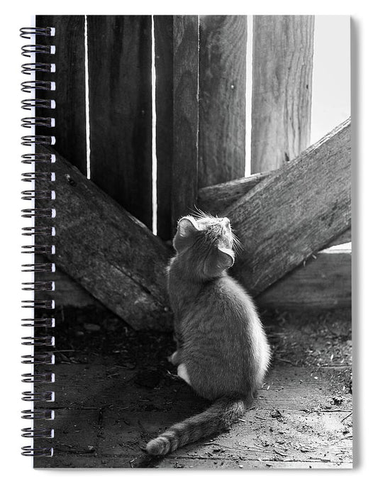 Curious Kitten - Spiral Notebook