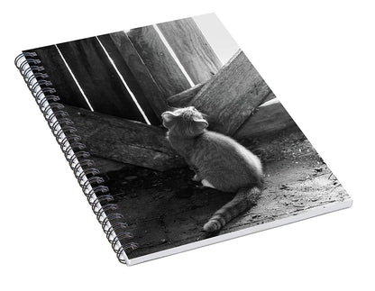 Curious Kitten - Spiral Notebook