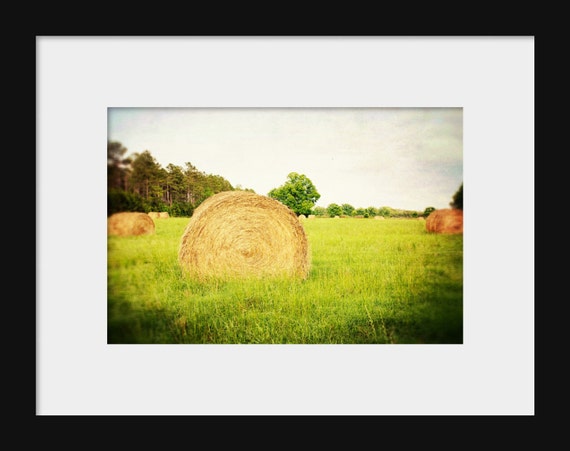 The Hayfield | Rustic Farmhouse Photography Print