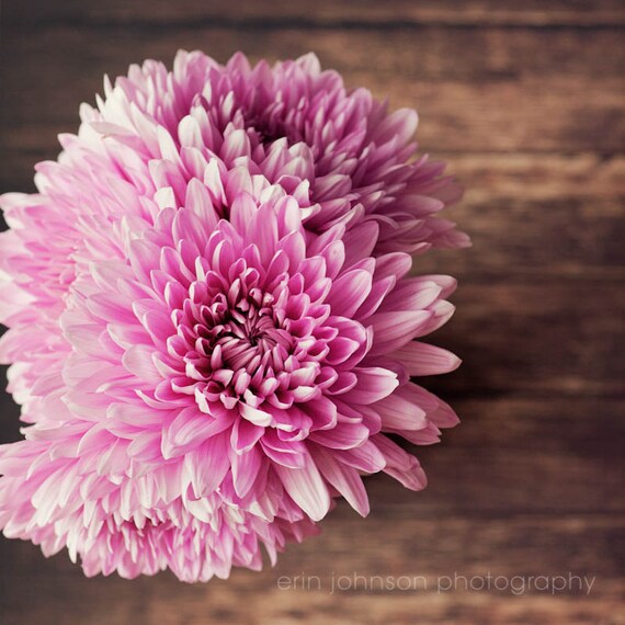a large pink flower sitting on top of a wooden table