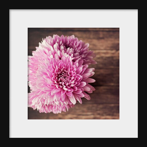 I Must Have Flowers Always | Pink Flower Prints