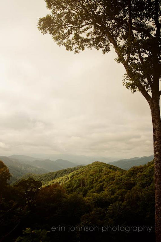 Great Smoky Mountains | Landscape Photography