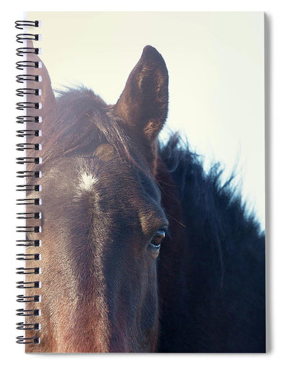 Horse - Spiral Notebook