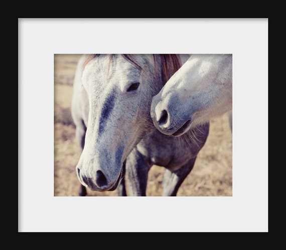 Horse Kisses | Farmhouse Photography