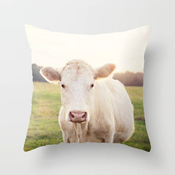 Cow Photograph | Throw Pillow Cover