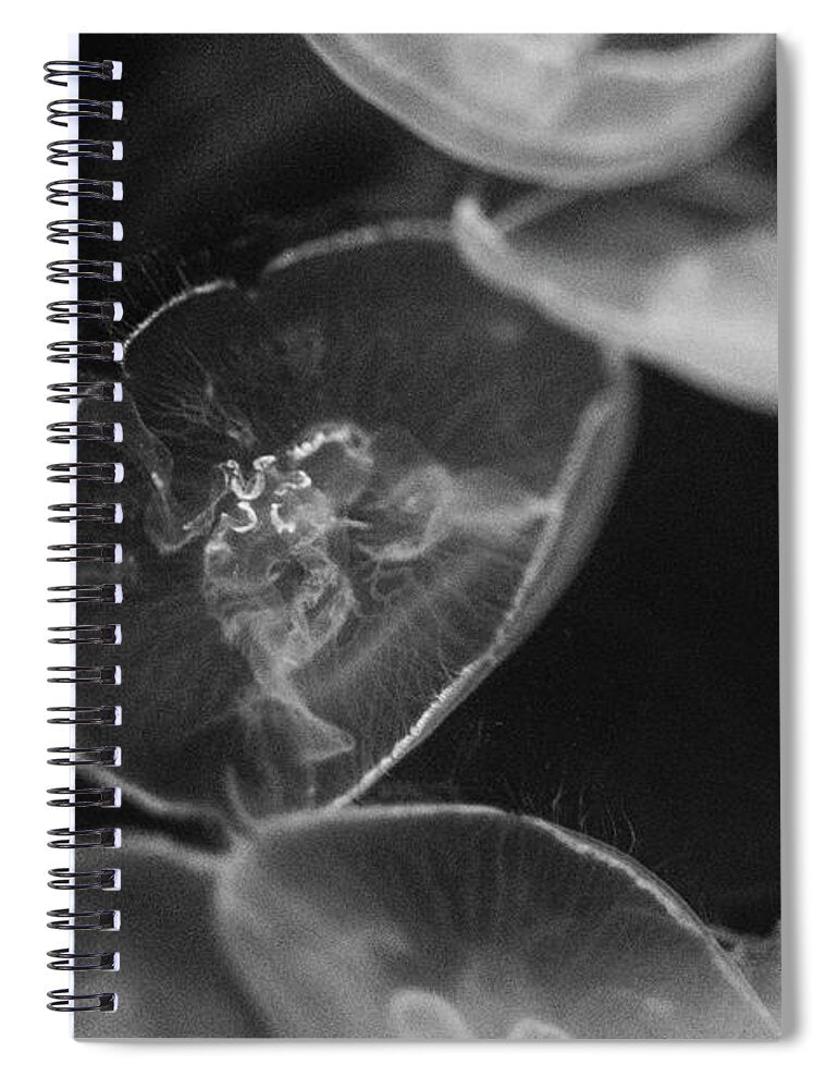 Jellyfish in Black and White I - Spiral Notebook