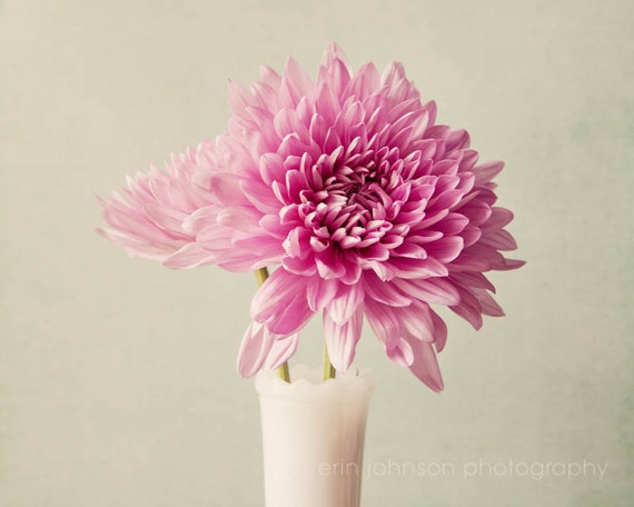a pink flower in a white vase on a table