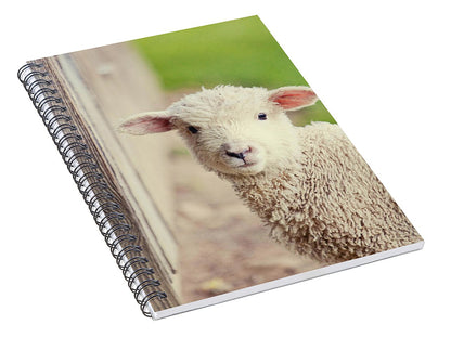 Little Lamb - Spiral Notebook