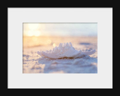 Love, Sunset | Starfish Beach Photography