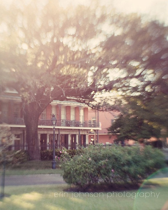 a house with a tree in front of it