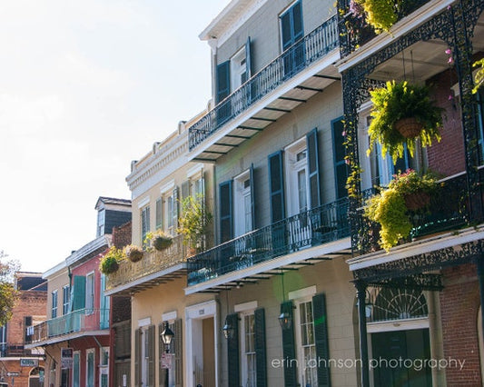 a row of buildings with balconies and flowers on the balconies