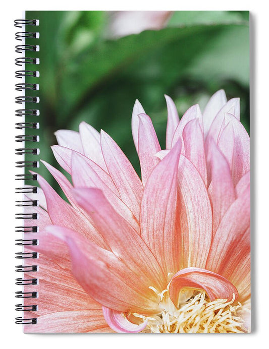 Pink Dahlia Closeup - Spiral Notebook