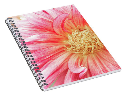 Pink Dahlia Closeup II - Spiral Notebook