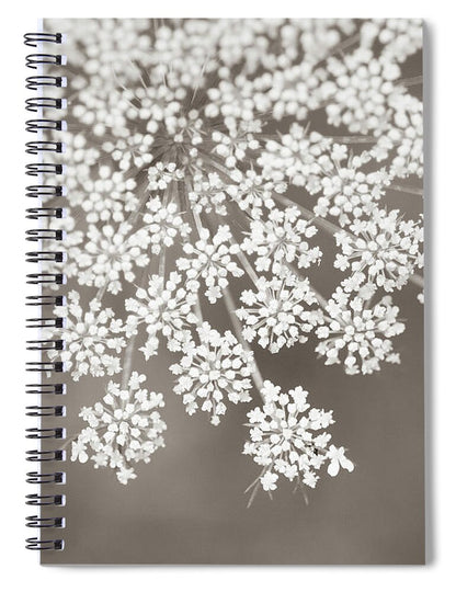 Queen Annes Lace Sepia - Spiral Notebook
