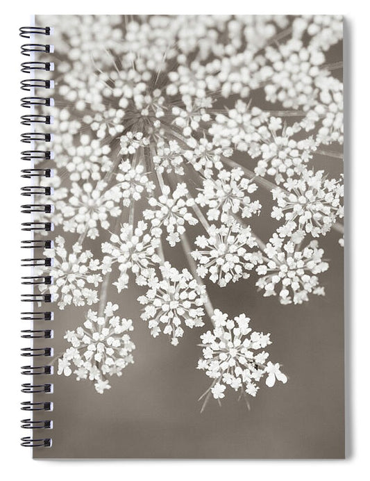 Queen Annes Lace Sepia - Spiral Notebook