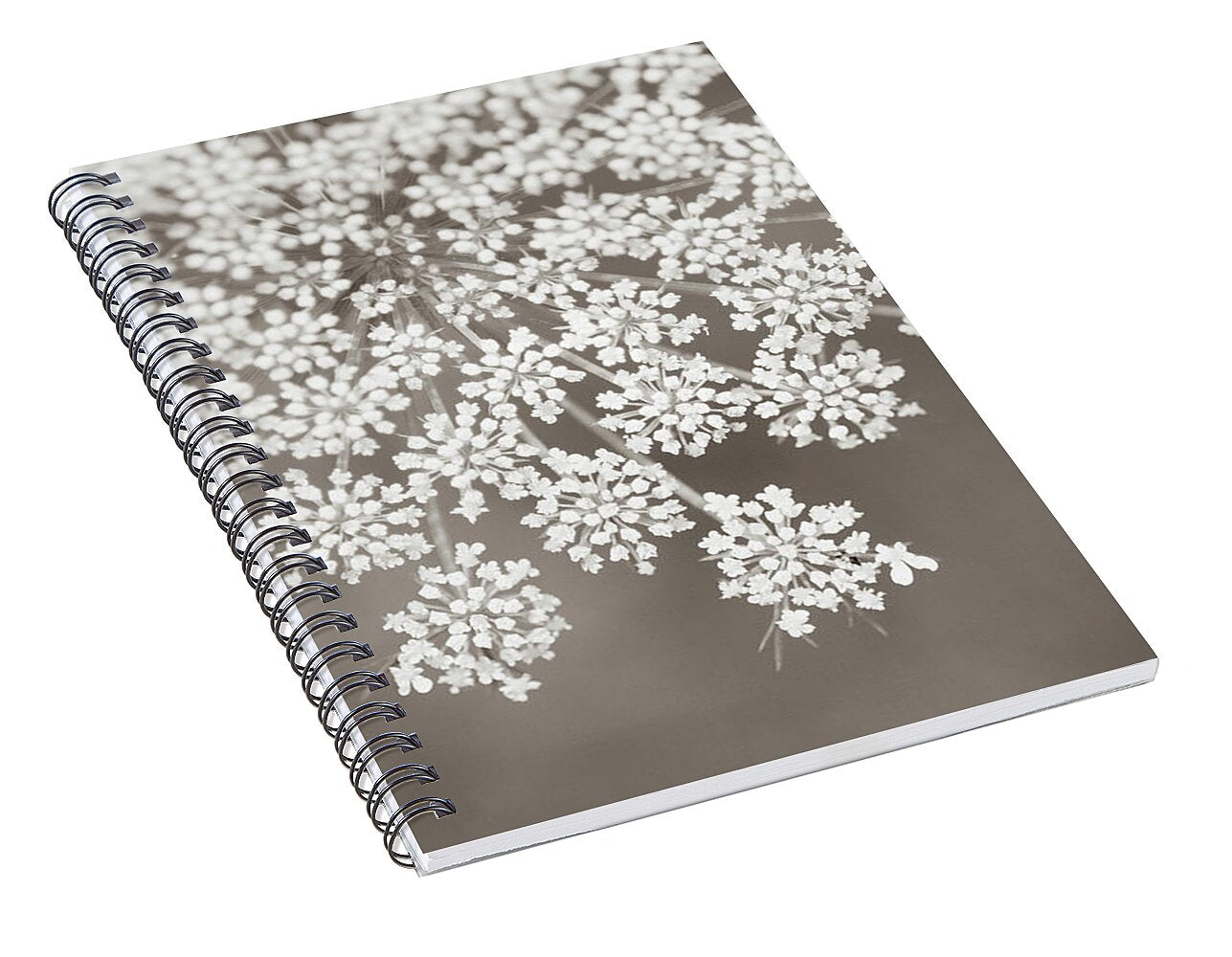 Queen Annes Lace Sepia - Spiral Notebook