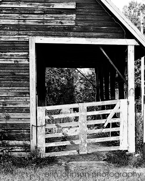 a black and white photo of a barn with a gate