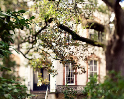 a building with a tree in front of it
