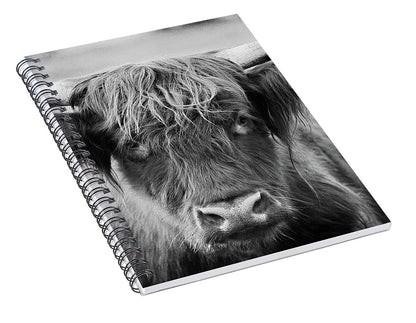 Scottish Highland Cow Black and White - Spiral Notebook
