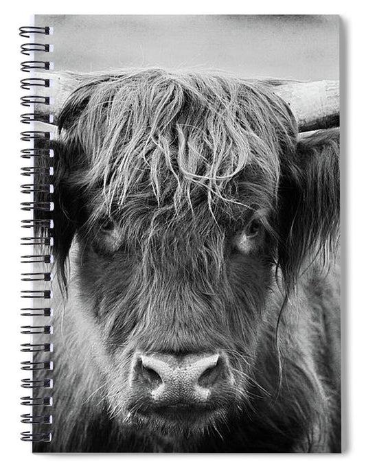 Scottish Highland Cow Black and White - Spiral Notebook