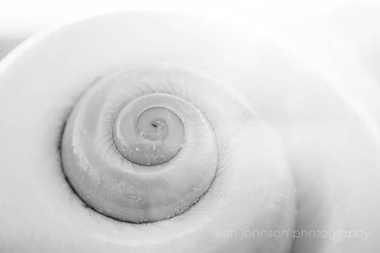 a close up of a spiral shaped object