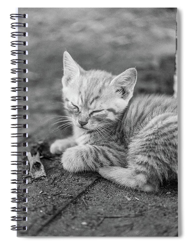 Sleepy Kitten - Spiral Notebook