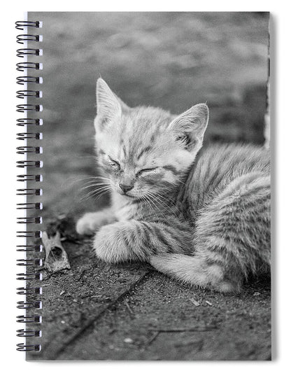 Sleepy Kitten - Spiral Notebook