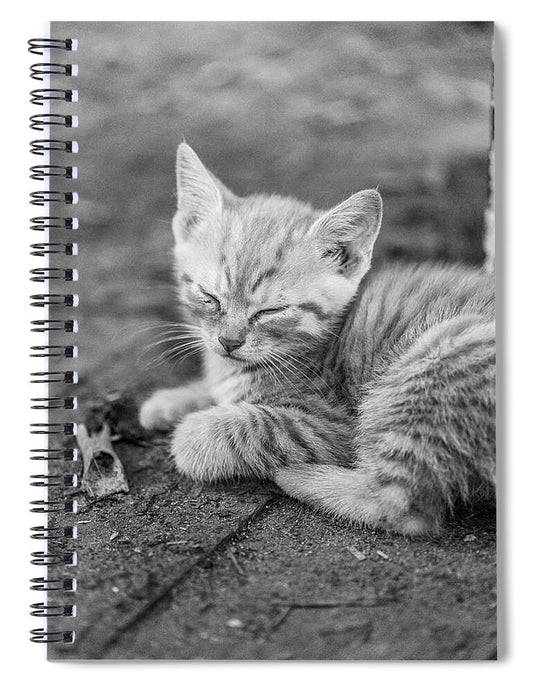 Sleepy Kitten - Spiral Notebook