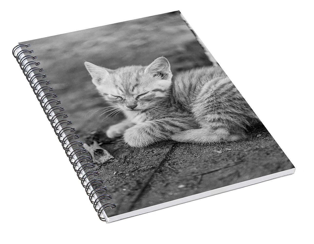 Sleepy Kitten - Spiral Notebook