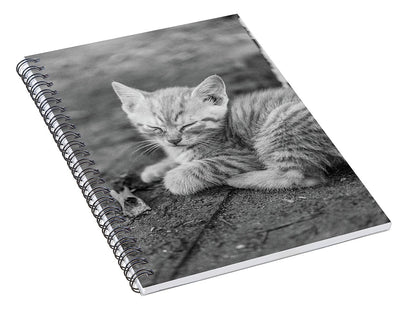 Sleepy Kitten - Spiral Notebook
