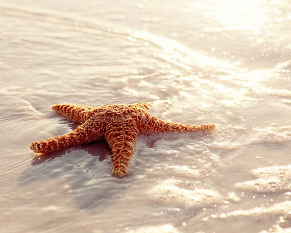 a starfish laying on the beach in the water