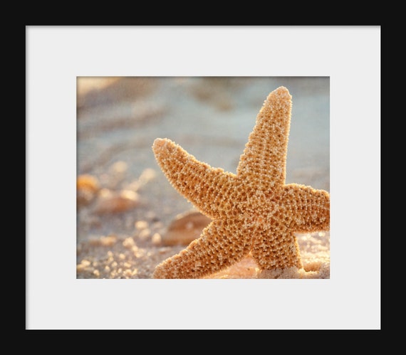 Tranquility | Starfish Beach Photography Print