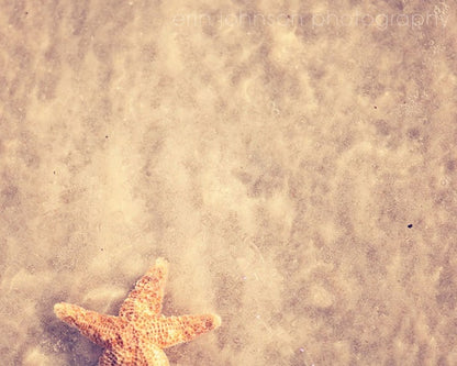 The One That Got Away | Starfish Photography Print