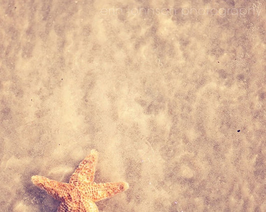 a starfish laying on the sand on a beach
