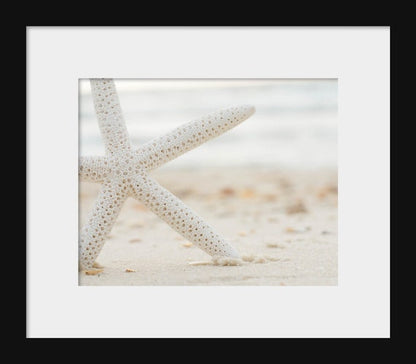 Starfish says Hi | Beach Photography
