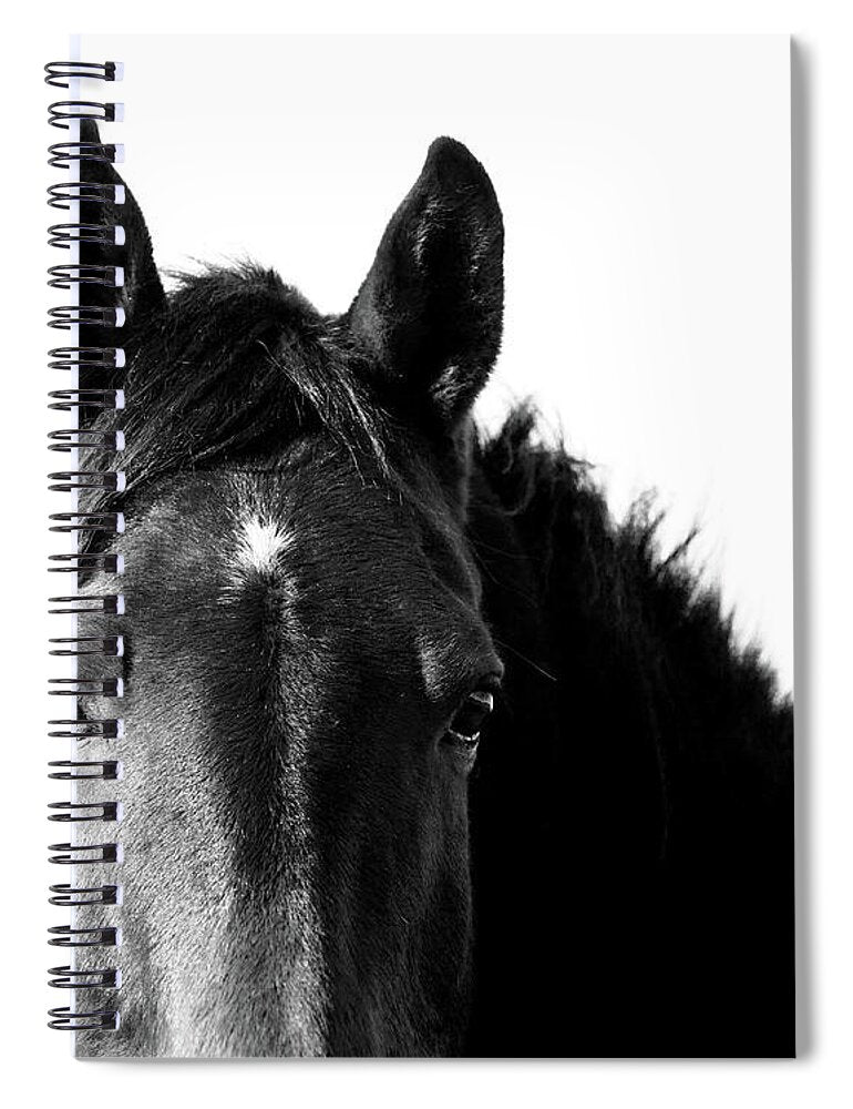 Starlight Black and White - Spiral Notebook