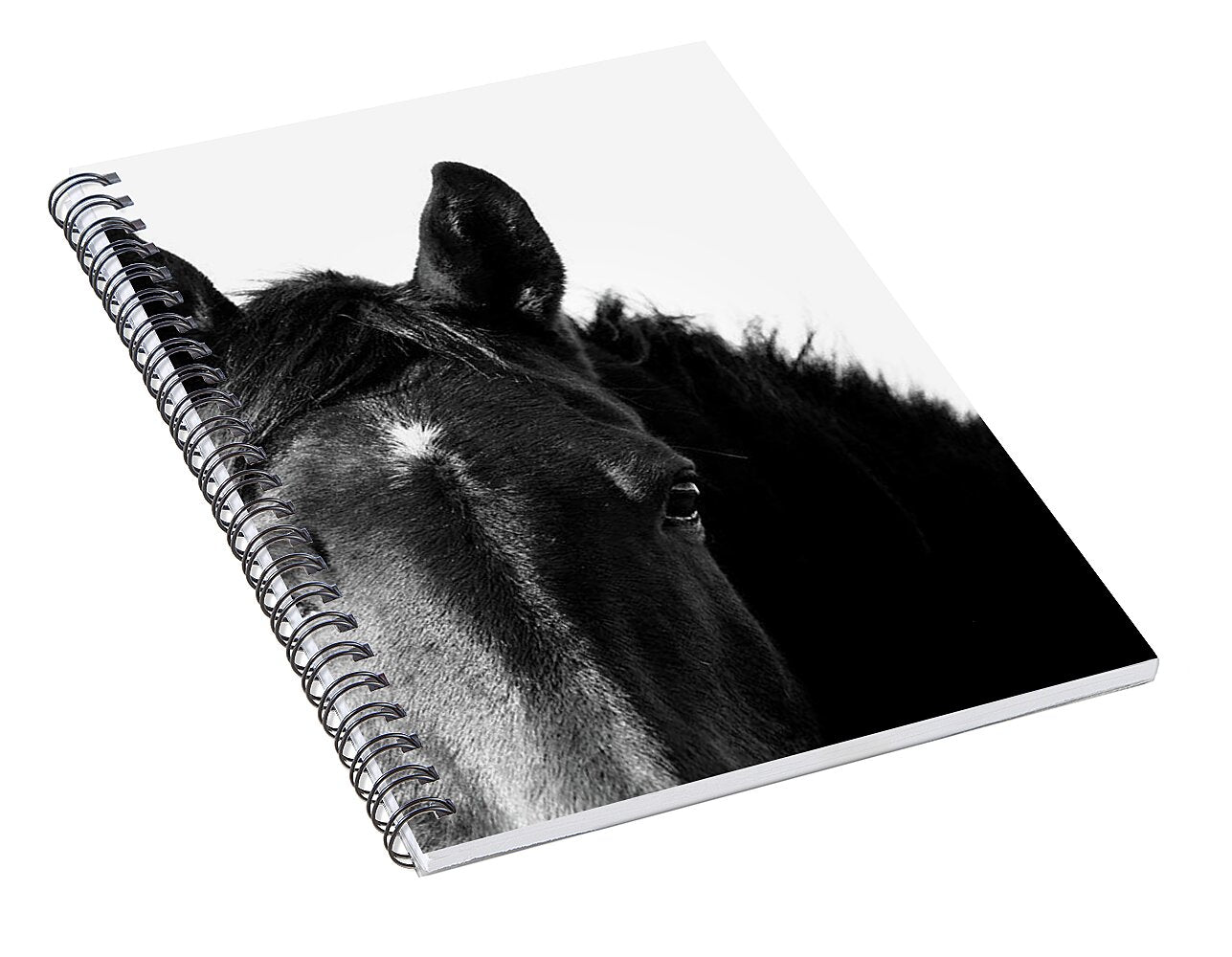 Starlight Black and White - Spiral Notebook