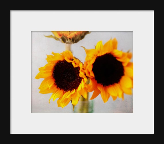 Ray of Sunshine | Sunflower Photography Print