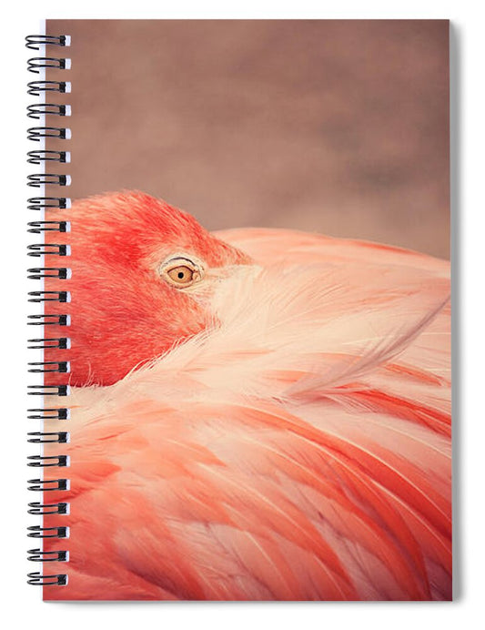 The Resting Flamingo - Spiral Notebook