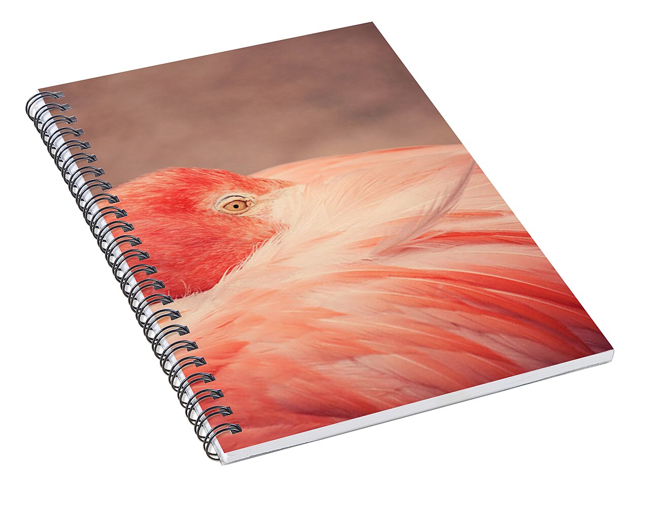 The Resting Flamingo - Spiral Notebook