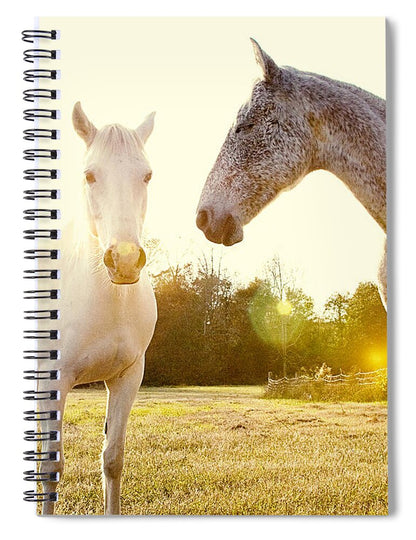 Two Horses - Spiral Notebook