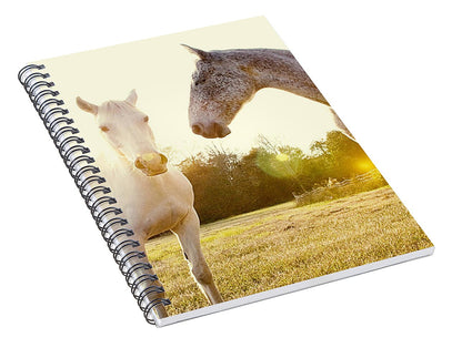 Two Horses - Spiral Notebook