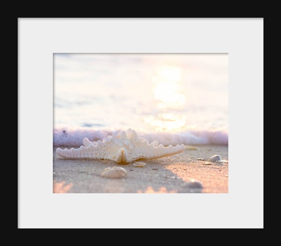 Sunlight Starfish | Beach Landscape Photography Print
