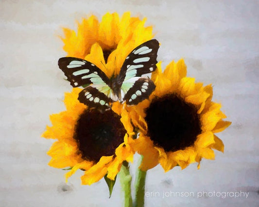 a butterfly sitting on top of a sunflower