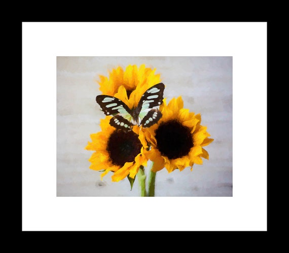 Friendship | Sunflower Photography Print