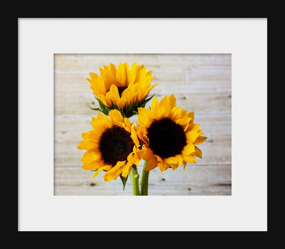 Yellow Sunflowers | Floral Photography Print